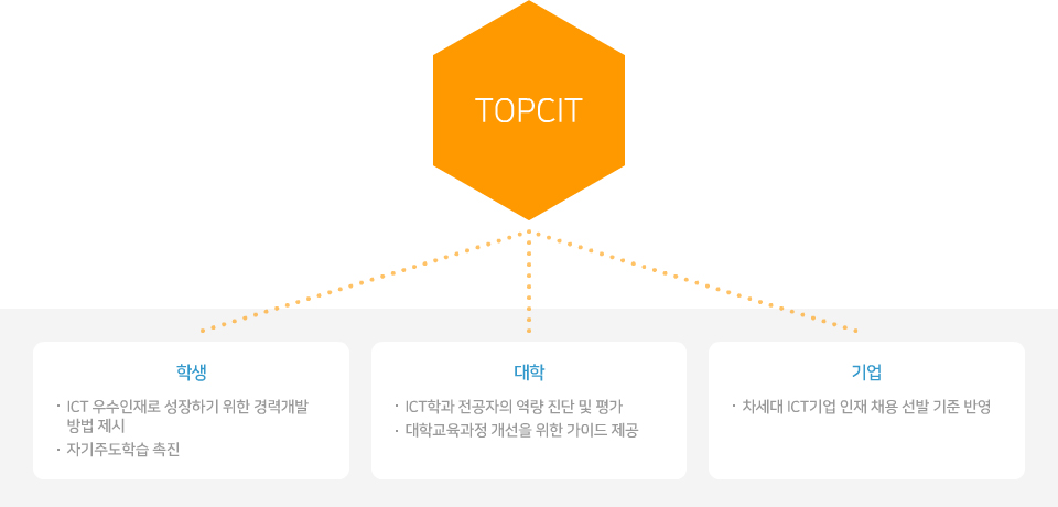 TOPCIT2.jpg
